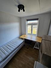 Room for rent 600 euro Buffelstraat, Rotterdam