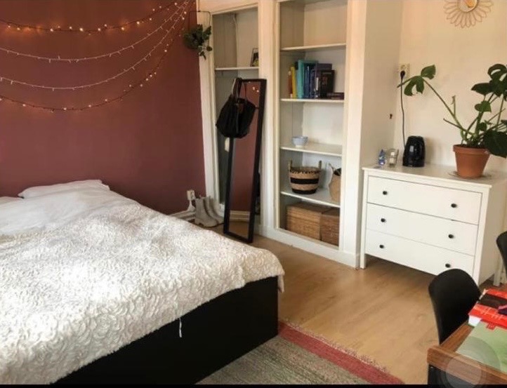 Kamer - Van Hamelstraat - 9714HJ - Groningen
