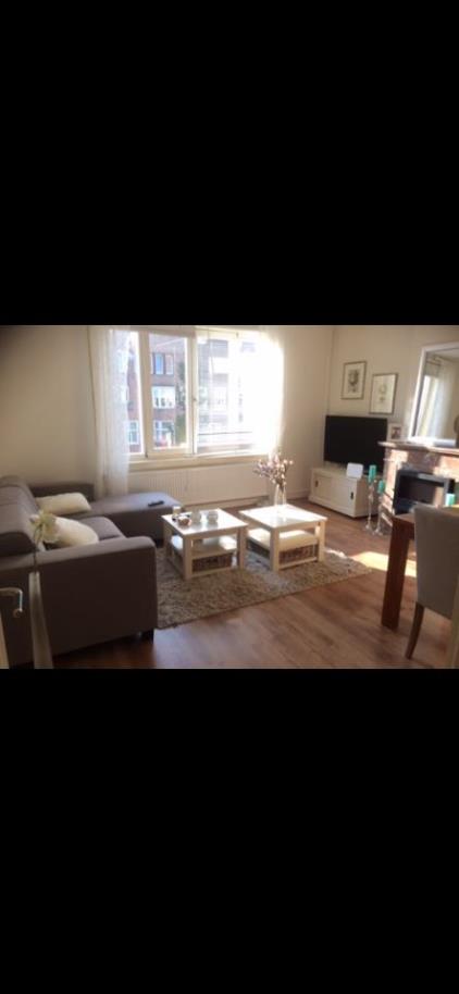 Room for rent 730 euro Rijnstraat, Amsterdam