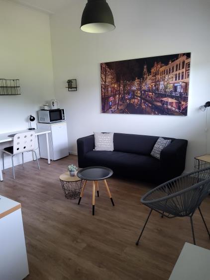 Kamer te huur 500 euro IJsvogel, Goirle