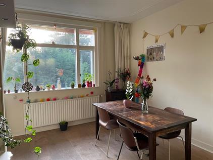 Room for rent 850 euro Van Hogenhoucklaan, Den Haag