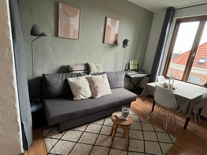 Apartment for rent 982 euro Klarendalseweg, Arnhem