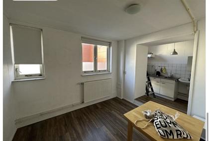 Studio for rent 549 euro Pelsterstraat, Groningen