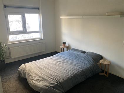 Kamer te huur 1200 euro Spinozahof, Amsterdam