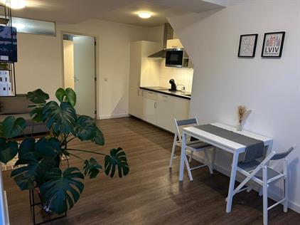Apartment for rent 1500 euro Vlietlaan, Bussum