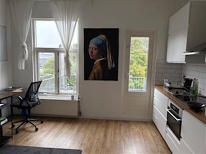 Appartement te huur 1250 euro Van Bleyswijckstraat, Delft