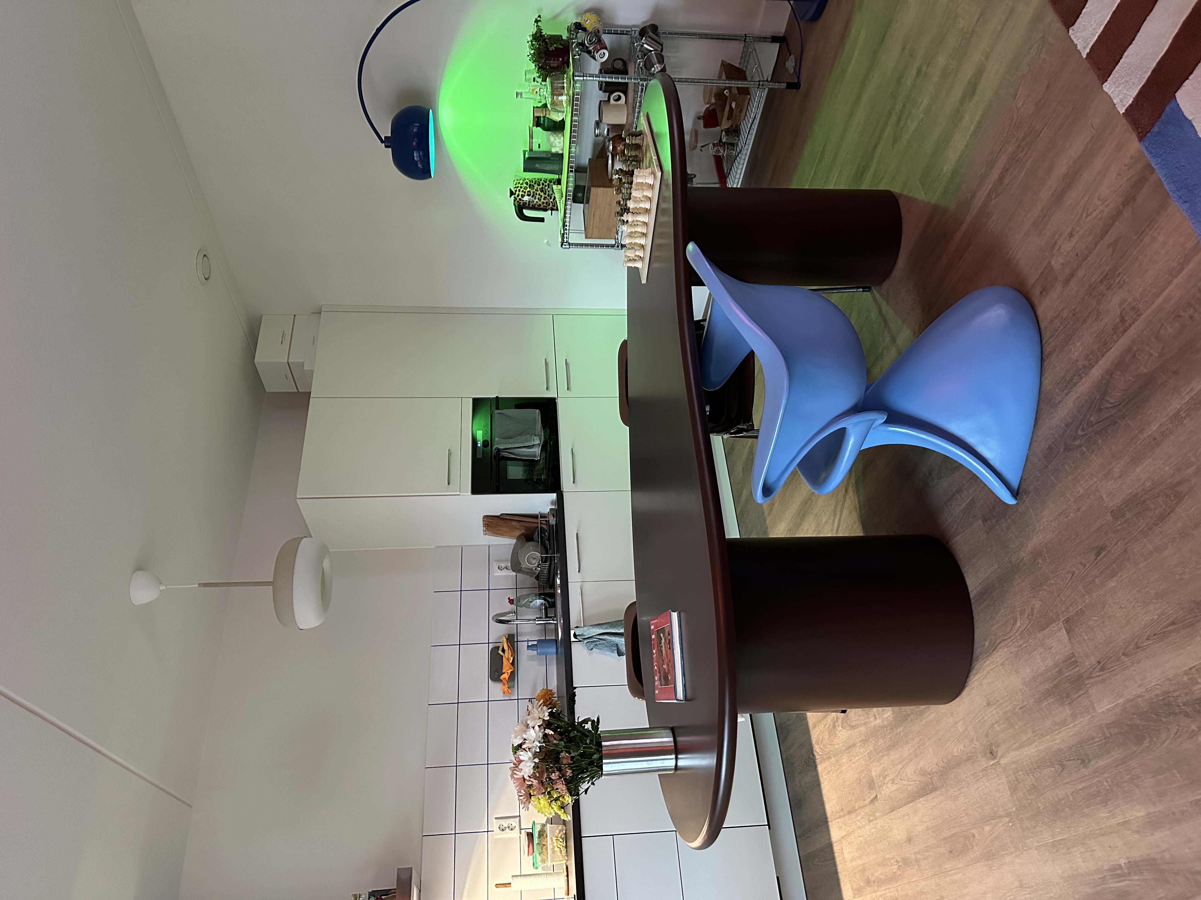 Kamer te huur in Amsterdam – Elzenhagensingel – foto 3