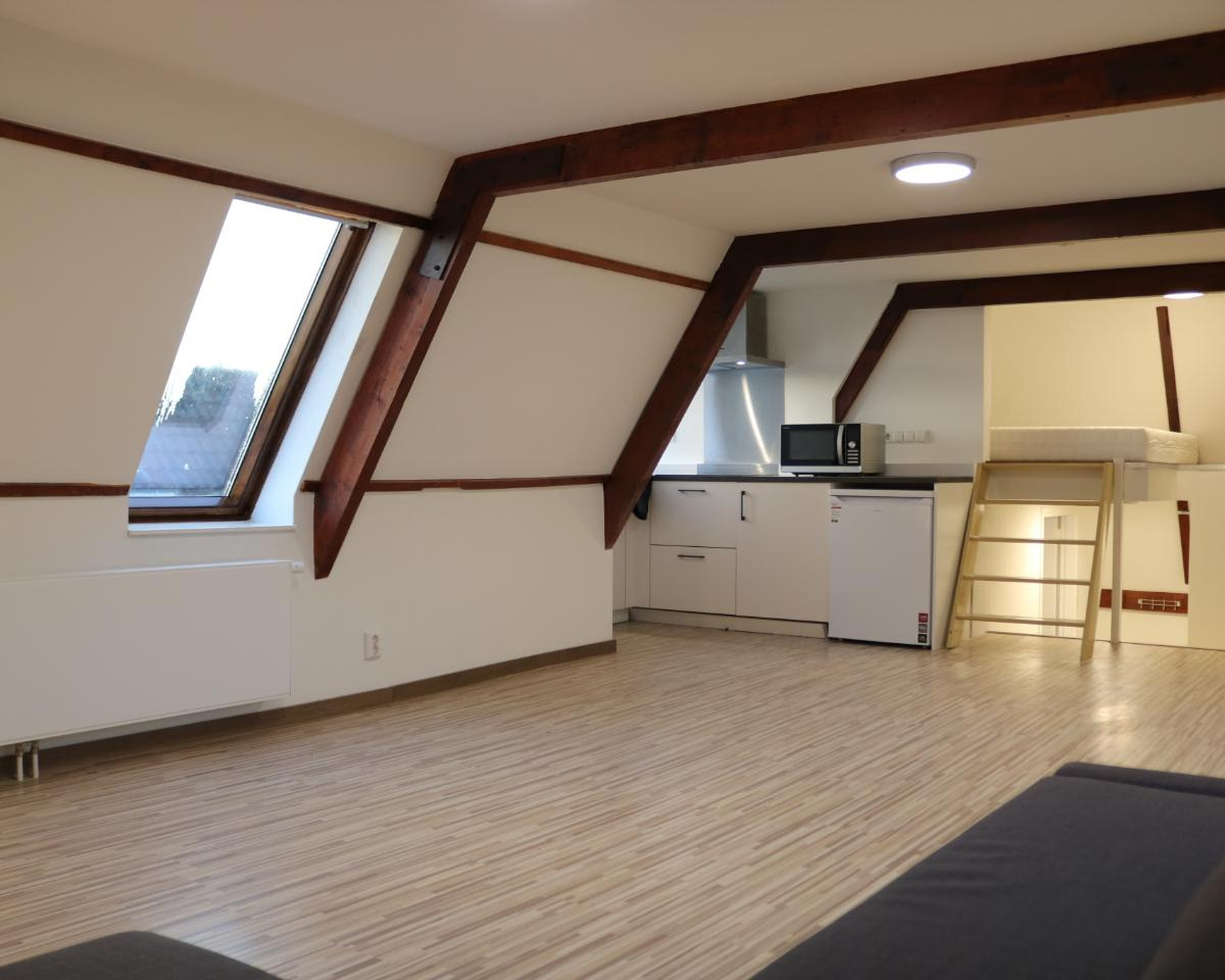 Kamer te huur in de Nieuwe Rijn in Leiden