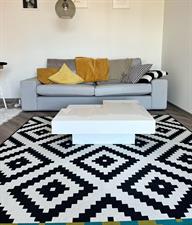 Apartment for rent 1600 euro Vlierweg, Amsterdam