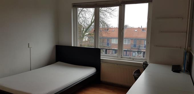 Zimmer bei Ranonkelstraat In Arnhem