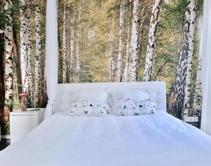 Apartment for rent 2000 euro Elckerlijcstraat, Amsterdam