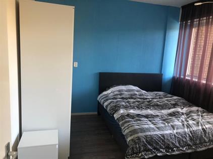 Zimmer zu vermieten 1100 Euro Burgemeester Hogguerstraat, Amsterdam