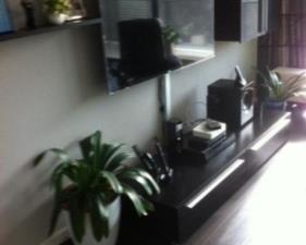 Room for rent 650 euro Willy Sluiterstraat, Amsterdam