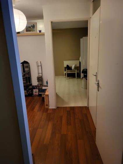 Room for rent 750 euro Balatonmeerlaan, Amsterdam