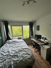 Room for rent 600 euro Oudraadtweg, Delft