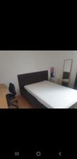 Room for rent 800 euro Octant, Almere