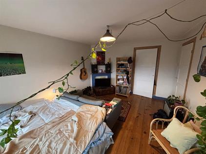 Room for rent 625 euro Potgieterstraat, Utrecht