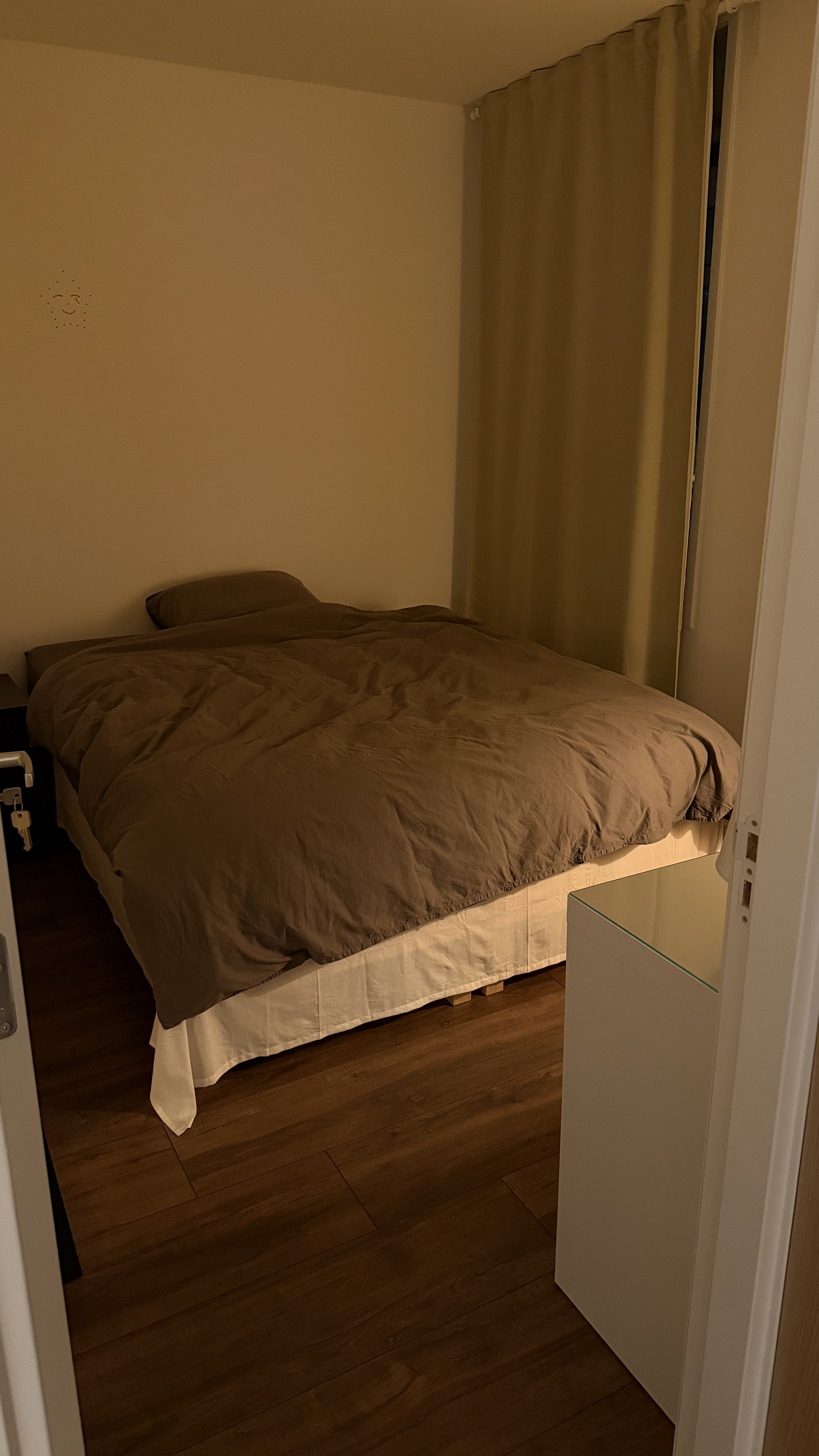 Willem de Zwijgerlaan