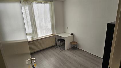 Room for rent 575 euro Buziaulaan, Rijswijk