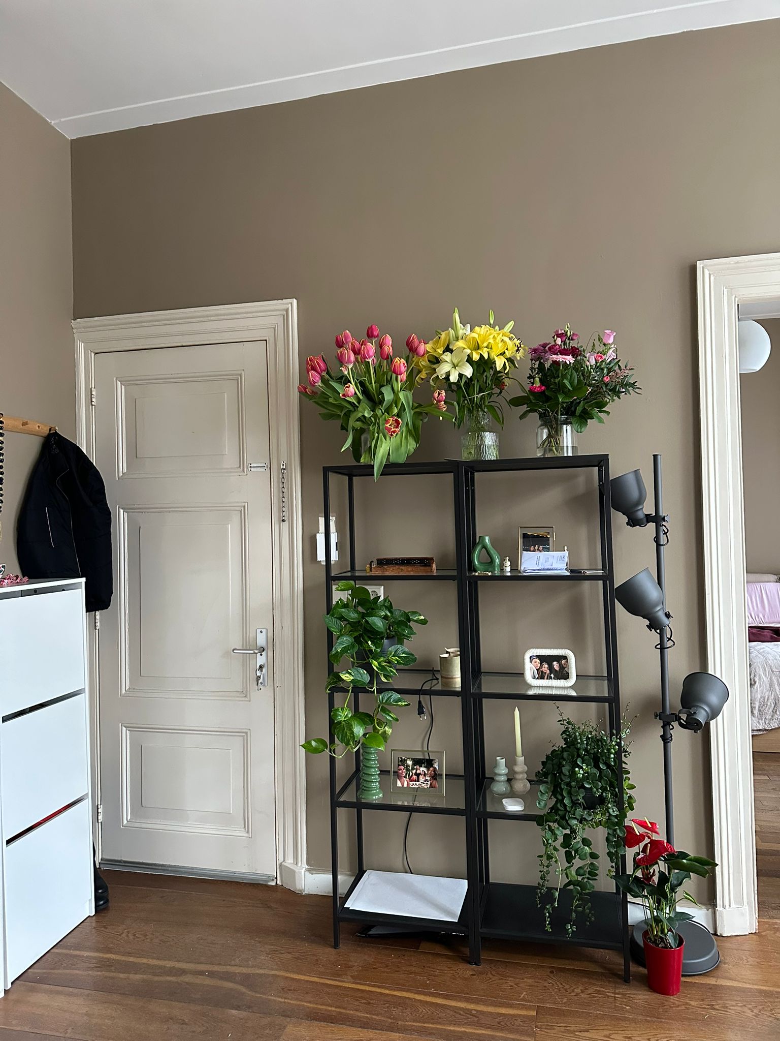 studios for rent on Wilhelminastraat