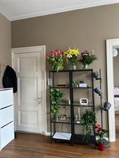 Studio te huur 1850 euro Wilhelminastraat, Haarlem