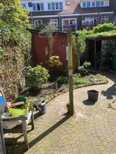 Kamer te huur 487 euro Albertina van Nassaustraat, Eindhoven