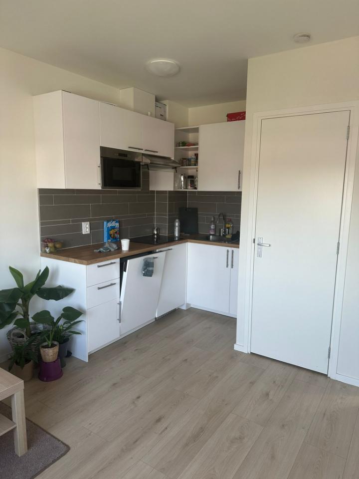 Appartement - Oudemansstraat - 2522SC - Den Haag