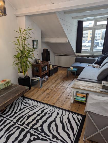 Room for rent 800 euro Buys Ballotstraat, Utrecht