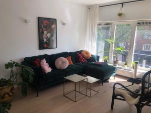 Room for rent 1050 euro Van Woustraat, Amsterdam