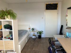 Kamer te huur 460 euro Lisztstraat, Delft