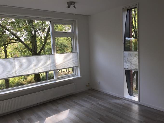 Zimmer bei Thorbeckestraat In Wageningen