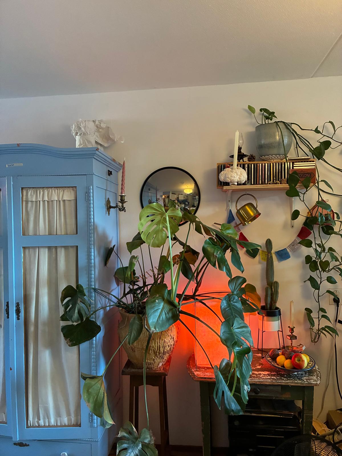 Appartement te huur in Breda – Valkenstraat – foto 3
