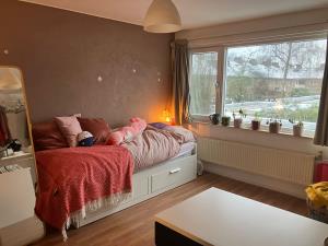 Kamer te huur 460 euro Thomaslaan, Eindhoven