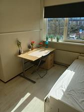 Room for rent 850 euro Judith Leijsterstraat, Lisse
