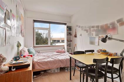 Room for rent 550 euro Vondellaan, Groningen