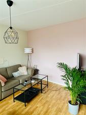 Studio for rent 703 euro Pius XII straat, Wijchen