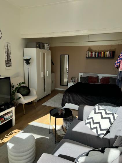 Kamer te huur 475 euro Noorderbinnensingel, Groningen