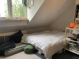 Room for rent 390 euro Deurningerstraat, Enschede