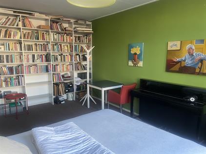 Room for rent 900 euro Pretoriusstraat, Amsterdam