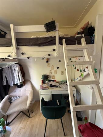 Zimmer bei H.W. Mesdagstraat In Groningen