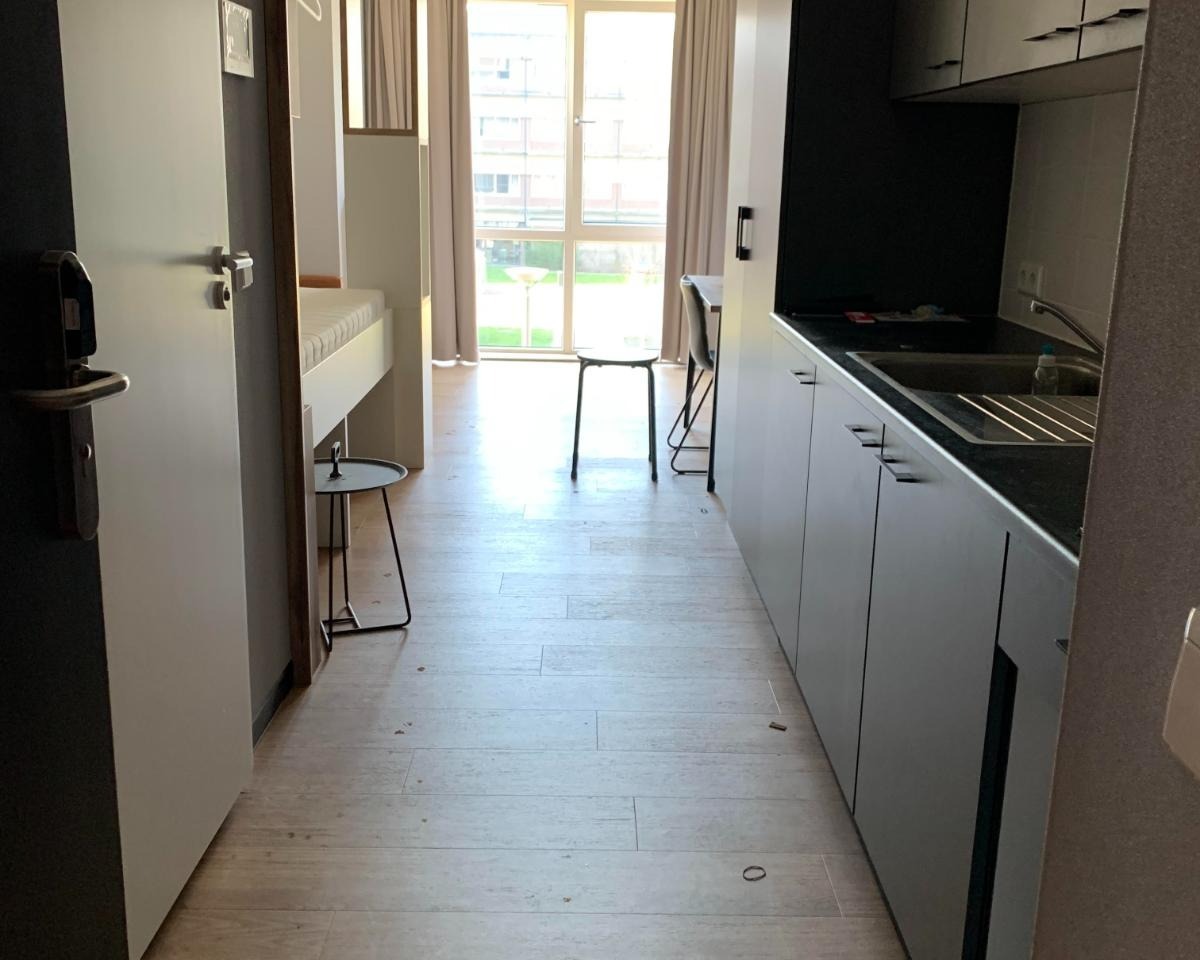 apartments for rent on Dalsteindreef