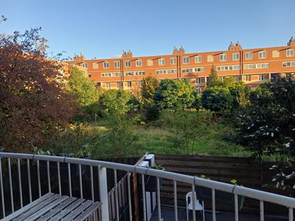 Kamer te huur 700 euro Kloekhorststraat, Amsterdam