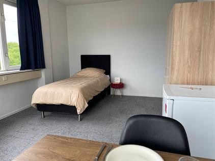 Room for rent 621 euro Polakweg, Rijswijk