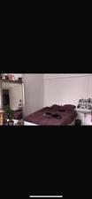 Apartment for rent 1850 euro Justus van Effenstraat, Utrecht