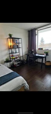 Zimmer bei Zijldonk In Leiden