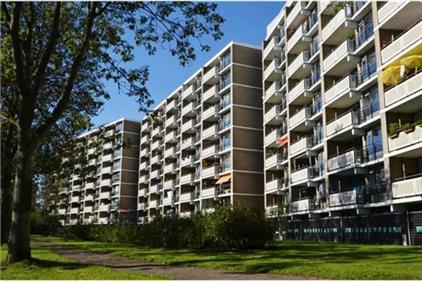 Apartment for rent 1400 euro Cruquiuslaan, Leiden