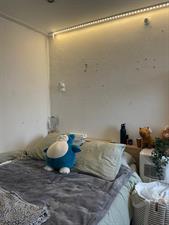 Kamer te huur 520 euro Westerpark, Tilburg