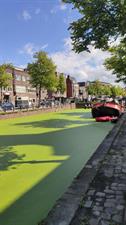 Turfsingel