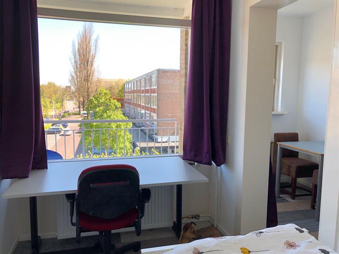 Zimmer bei Brahmslaan In Leiden