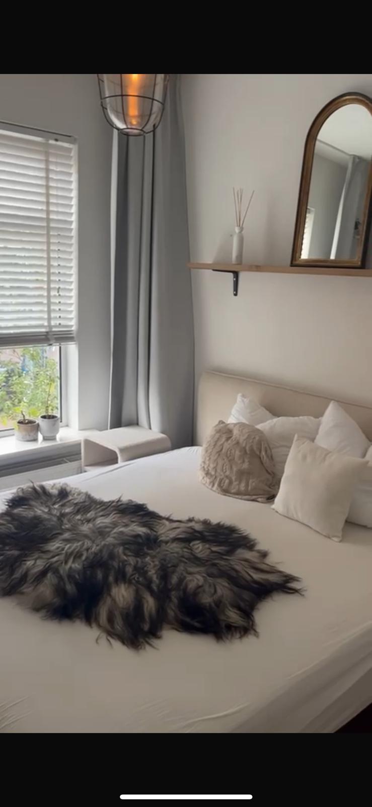 Kamer aan Ananasstraat, Den Haag 6